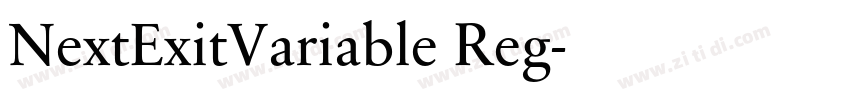 NextExitVariable Reg字体转换 NextExitVariable Reg字体转换